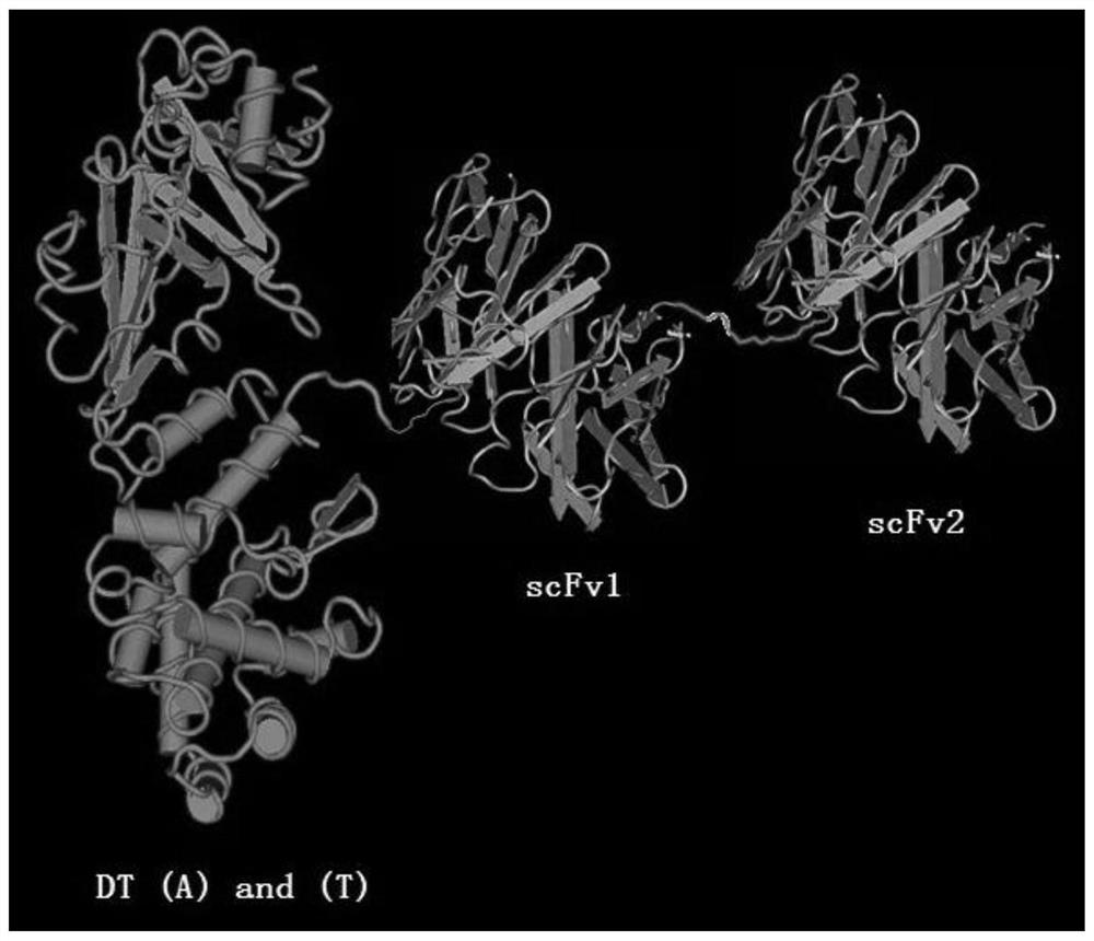 A mammalian cell expression vector for industrial production