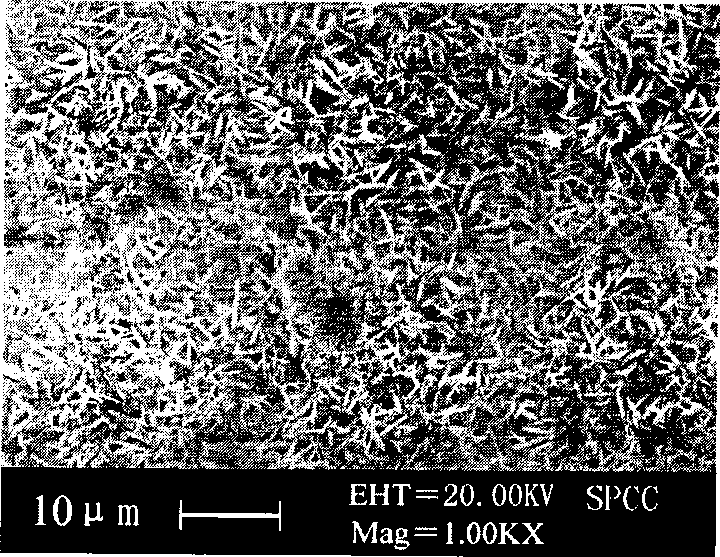 Non-nickle ion phosphating agent for steel plate processing