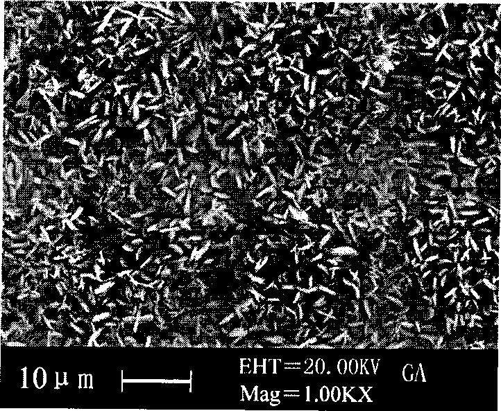 Non-nickle ion phosphating agent for steel plate processing