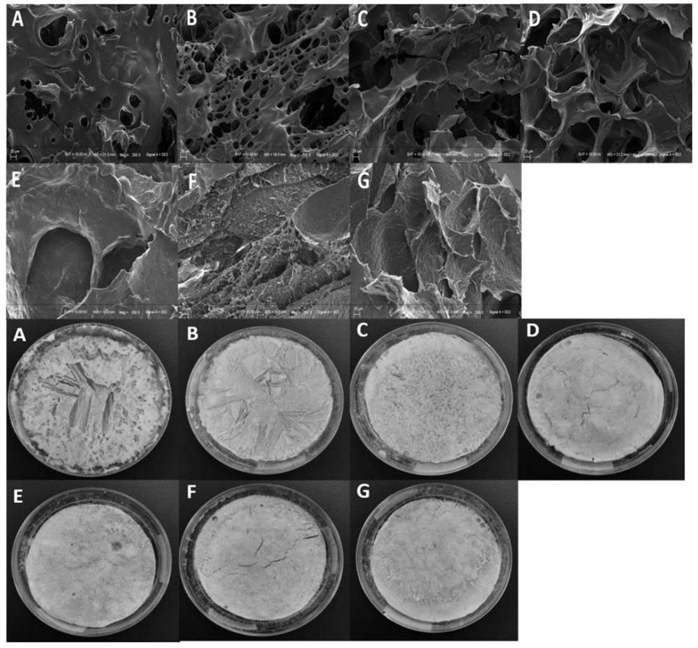 Lignan hydrogel based on soybean protein isolate and carrageenan and preparation method thereof