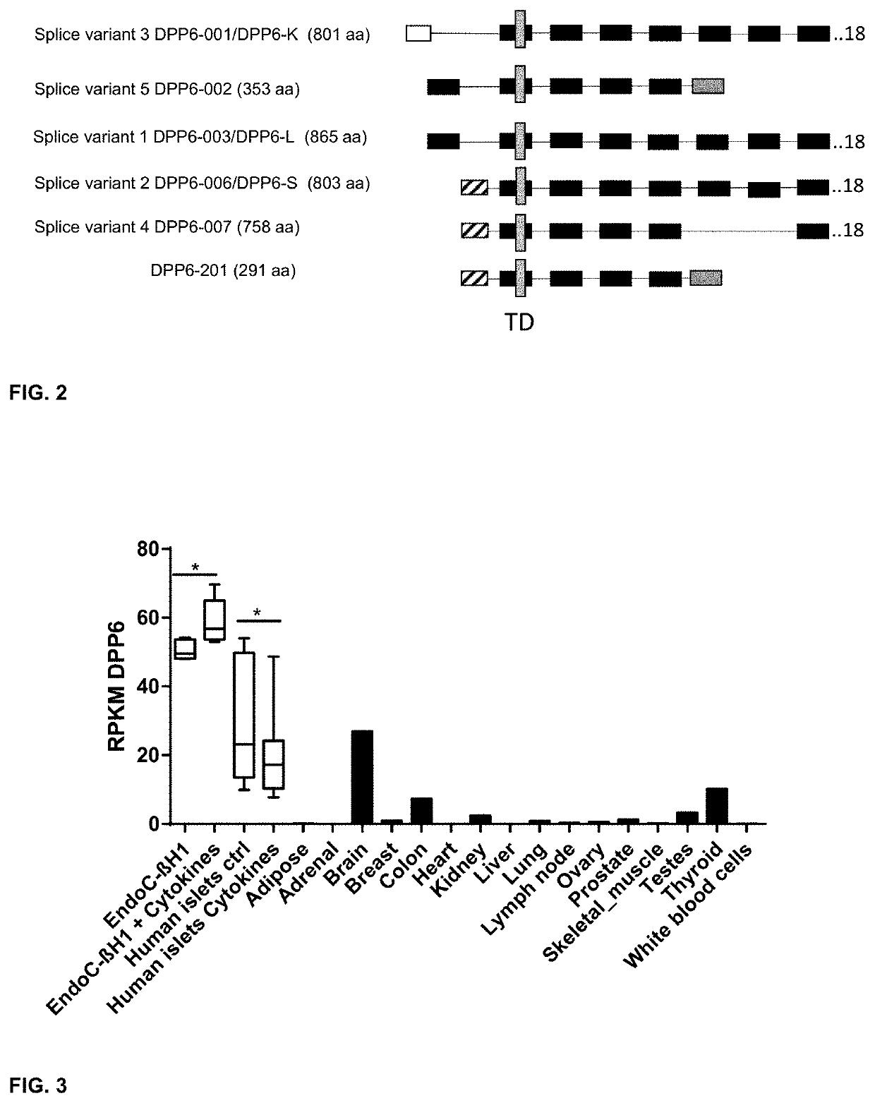 Biomarker expressed in pancreatic beta cells useful in imaging or targeting beta cells