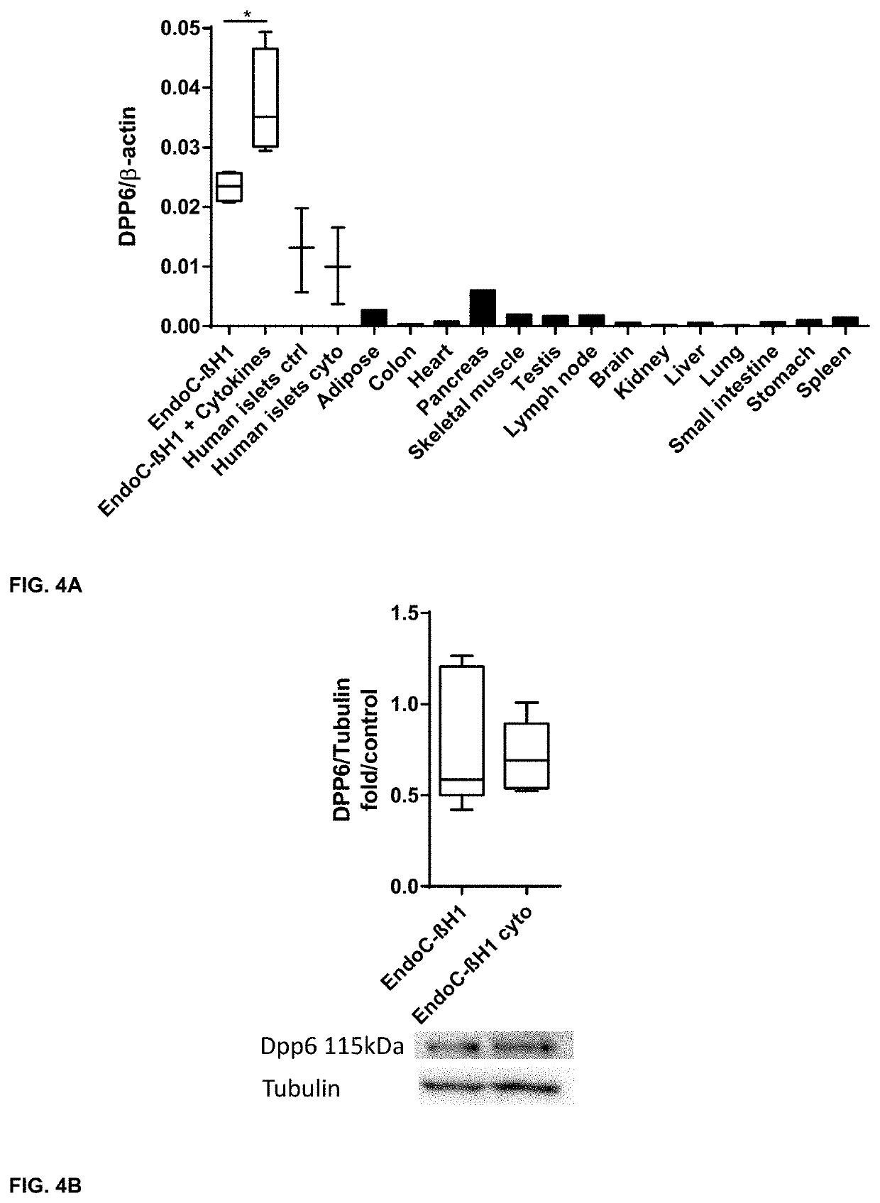 Biomarker expressed in pancreatic beta cells useful in imaging or targeting beta cells