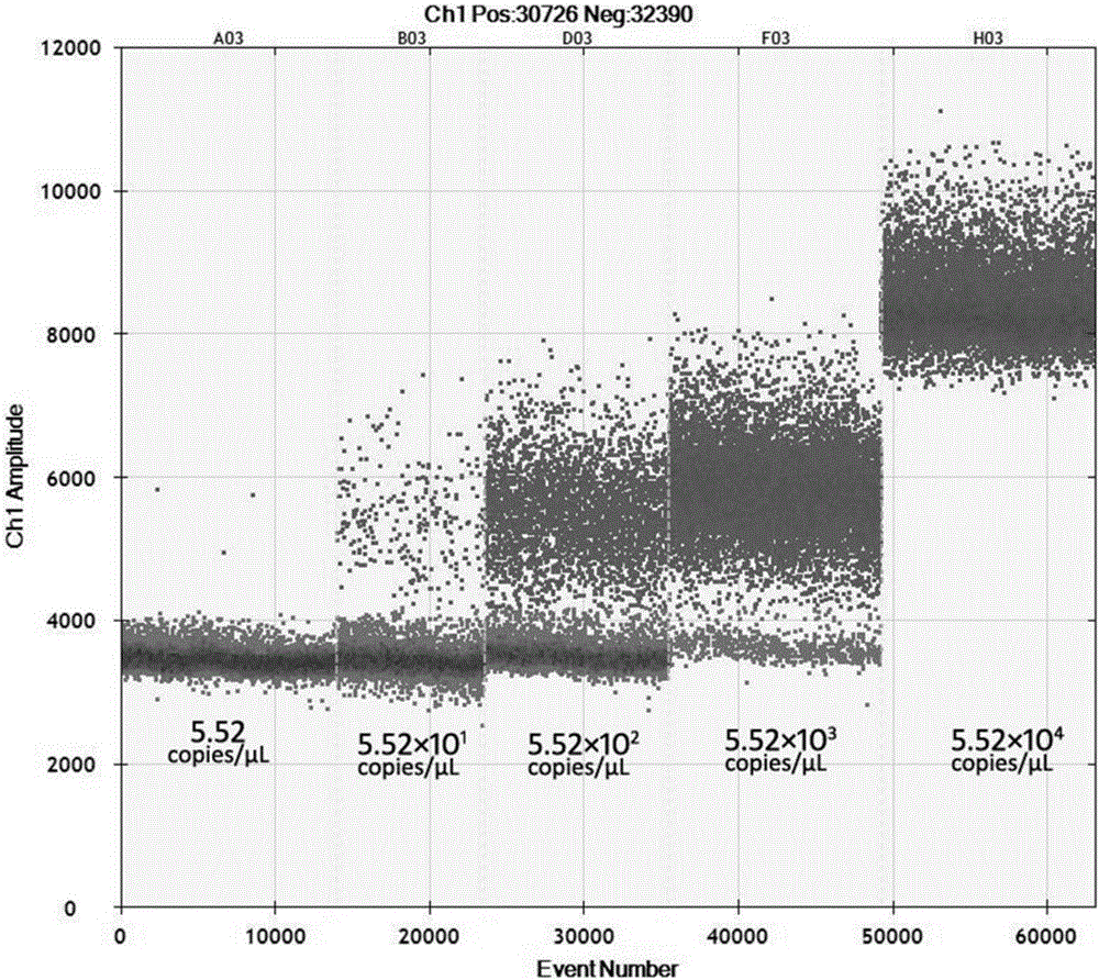 Kit and detection method for accurately and quantitatively detecting astrovirus