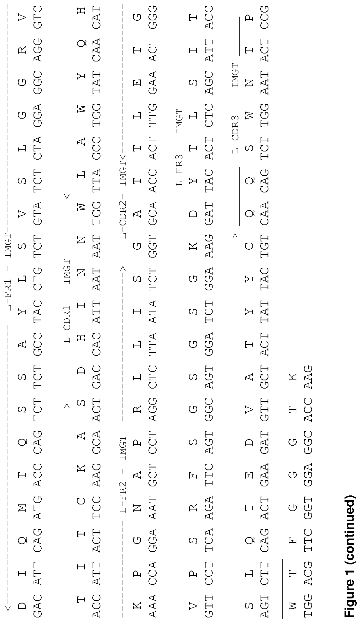 Treatment of b cell malignancies using afucosylated pro-apoptotic Anti-cd19 antibodies in combination with anti cd20 antibodies or chemotherapeutics