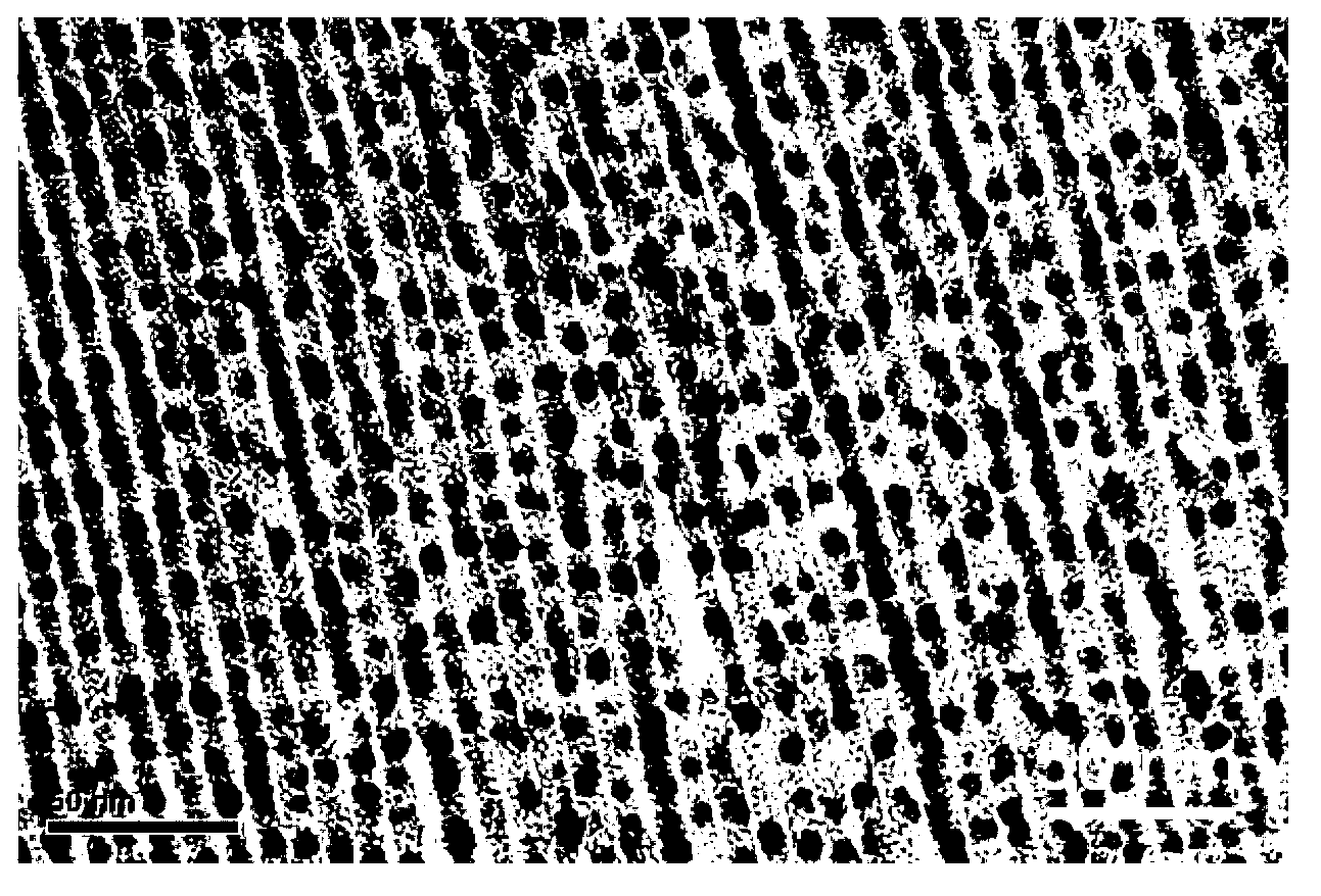 Orderly heterogeneous nano-wire flexible conductive film and preparation method thereof