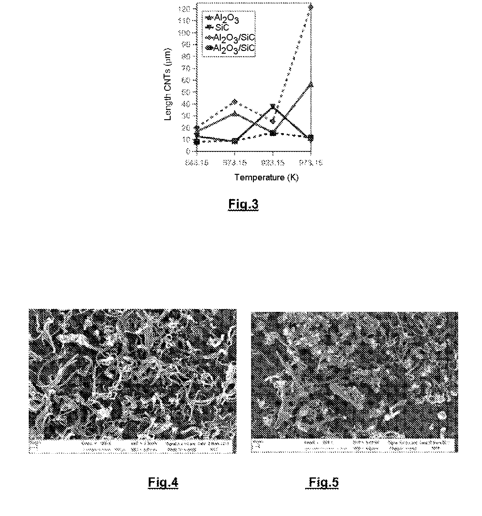 Process for synthesizing carbon nanotubes on multiple supports