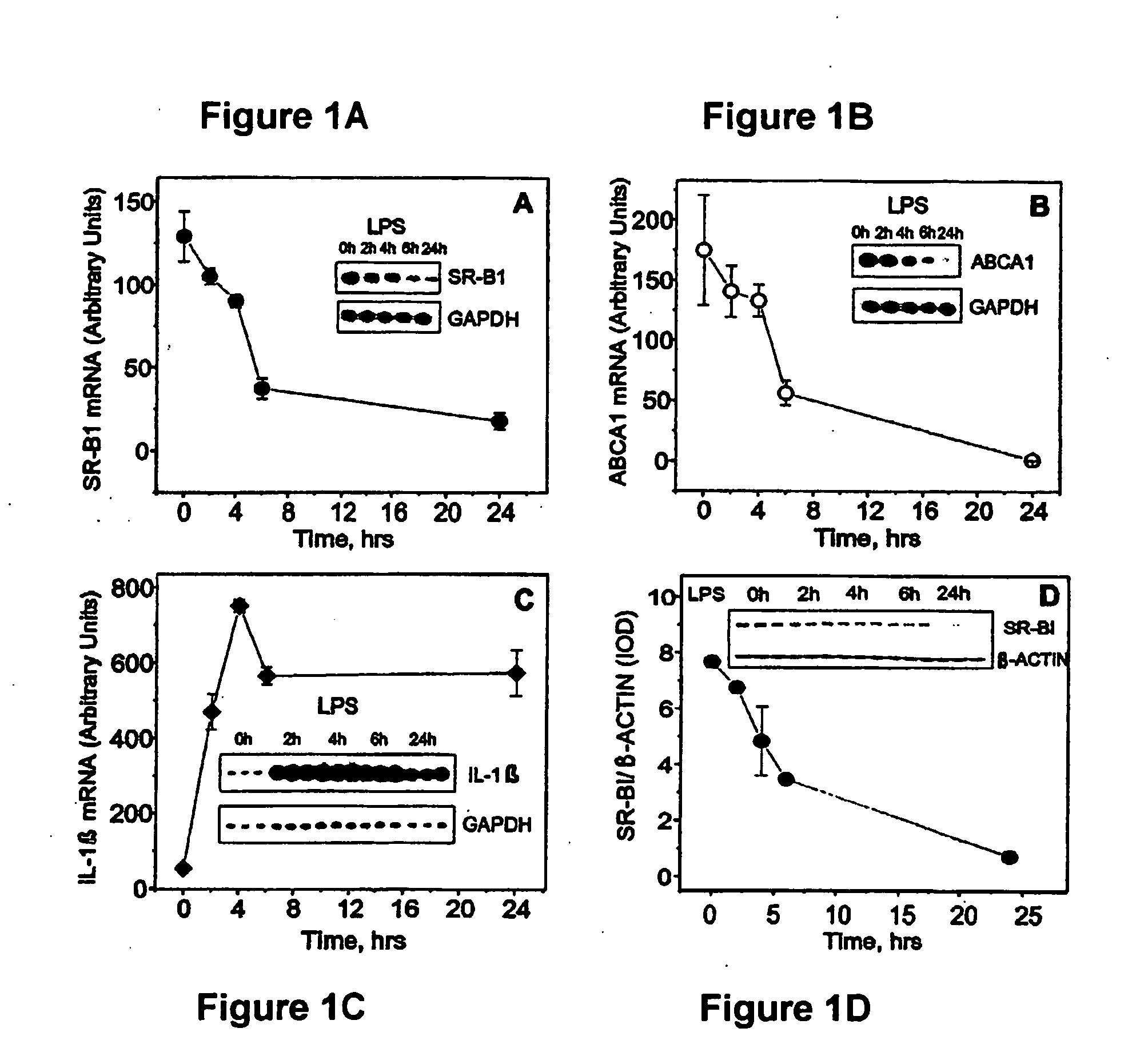 Scavenger Receptor B1 (Cla-1) Targeting for the Treatment of Infection, Sepsis and Inflammation