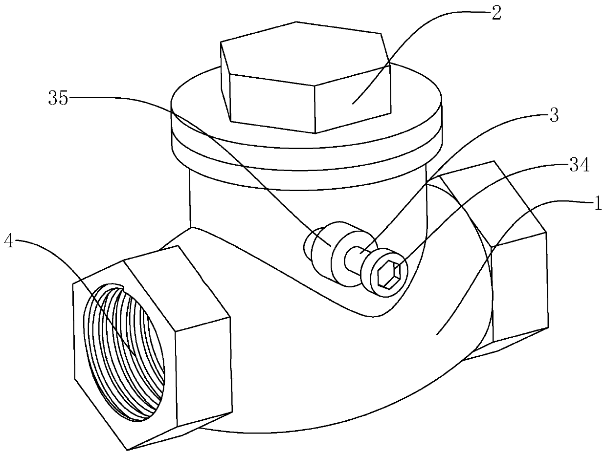 Adjustable swing check valve