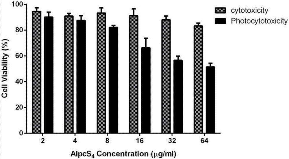 Target PEG (Polyethylene Glycol) modified gold nanorod and AlpcS4 coupled combination as well as preparation, application and antitumor composition thereof