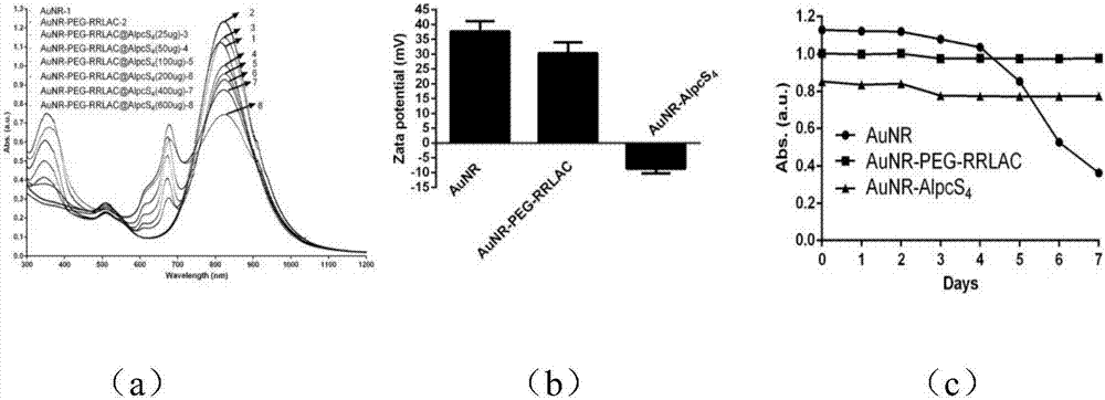 Target PEG (Polyethylene Glycol) modified gold nanorod and AlpcS4 coupled combination as well as preparation, application and antitumor composition thereof