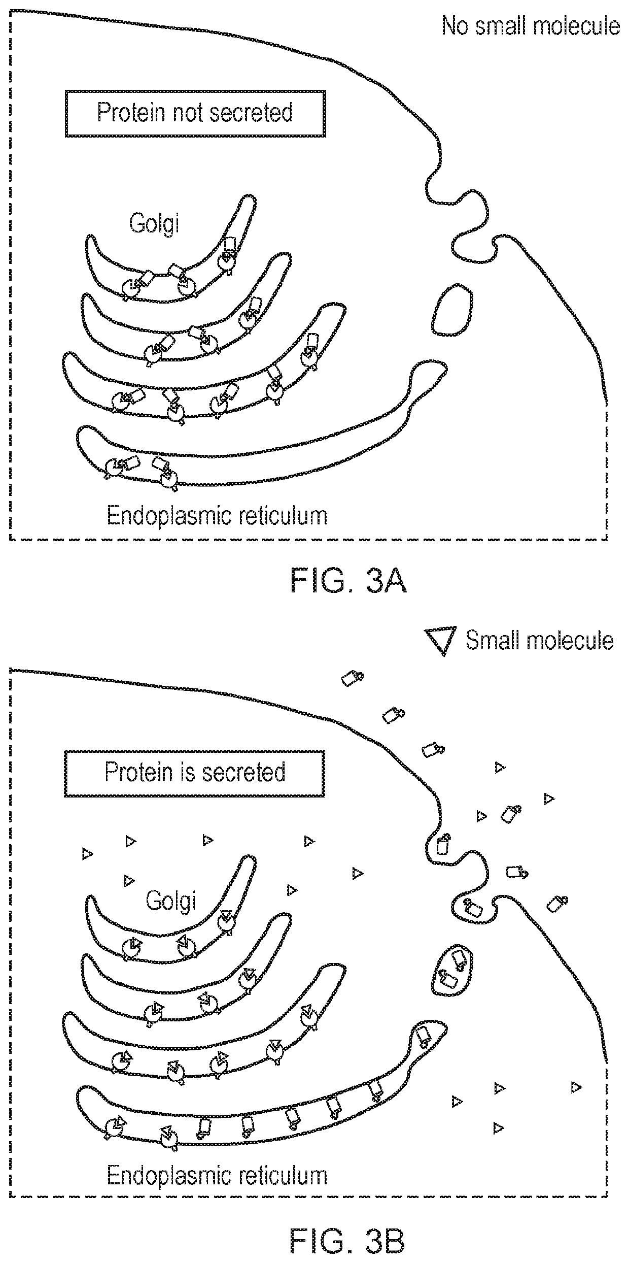 Engineered cytolytic immunecell