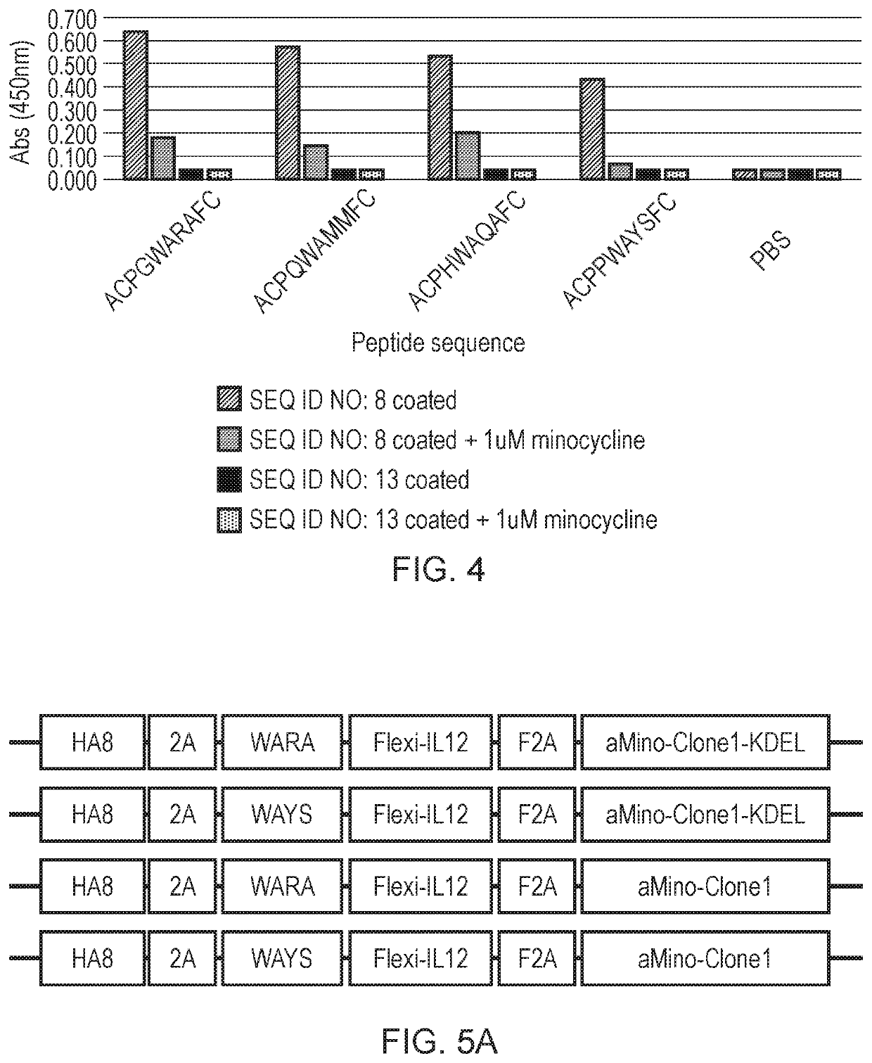 Engineered cytolytic immunecell