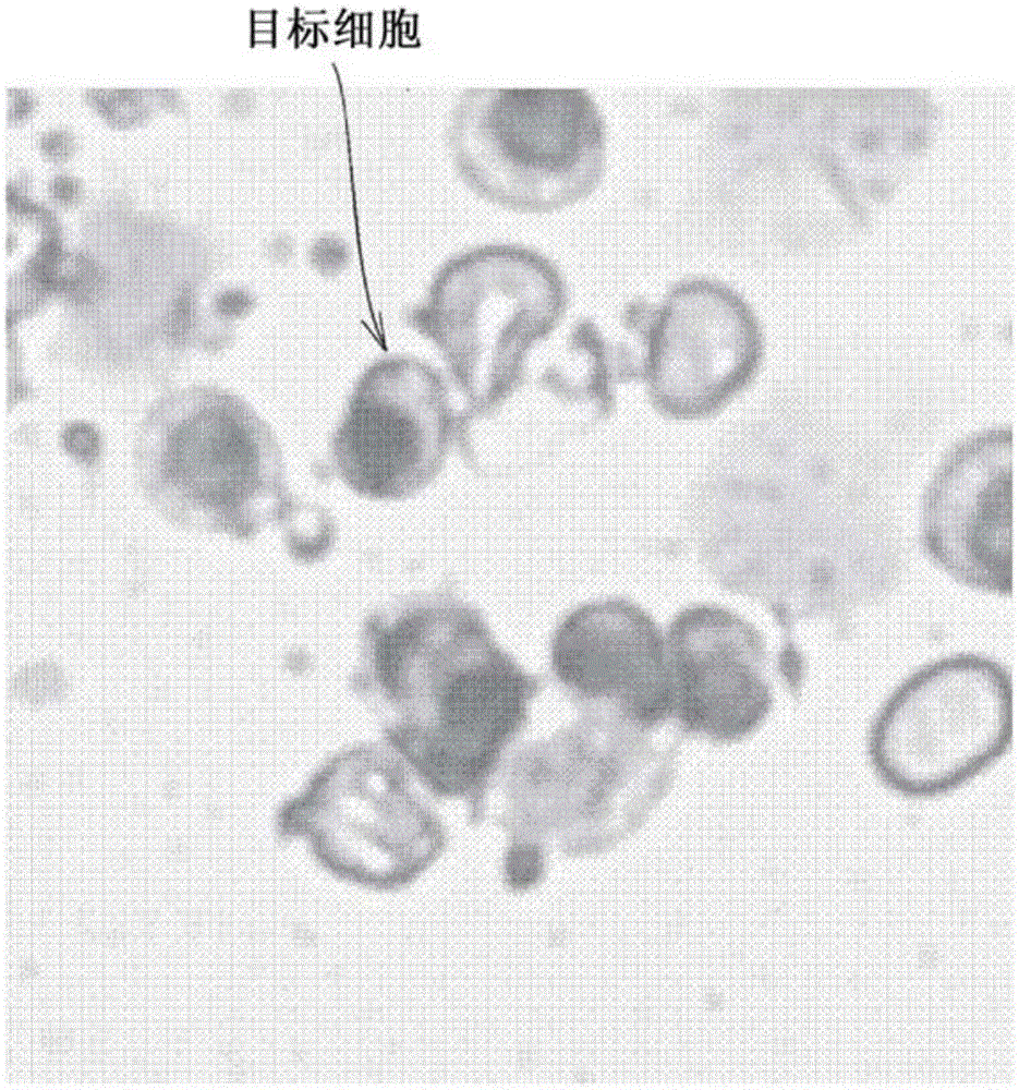 Image processing device, image processing method, program, and storage medium