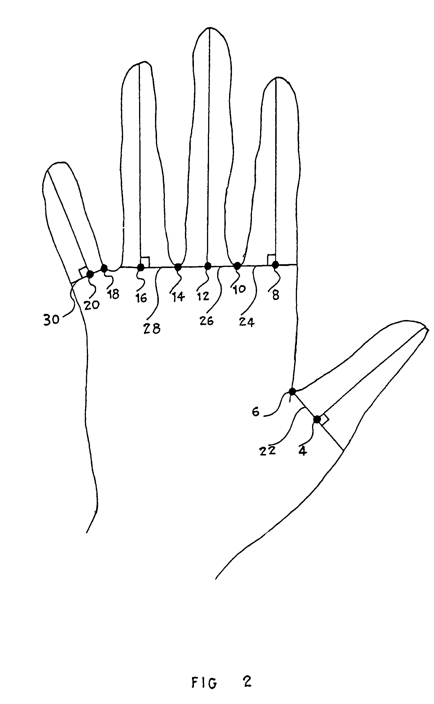 System and a method for person's identity authentication