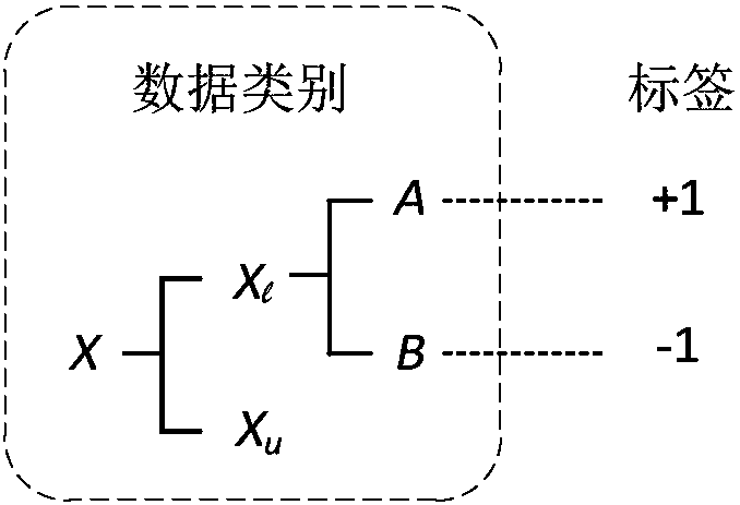 Semi-supervised learning-based twinborn extreme learning machine classification data processing method