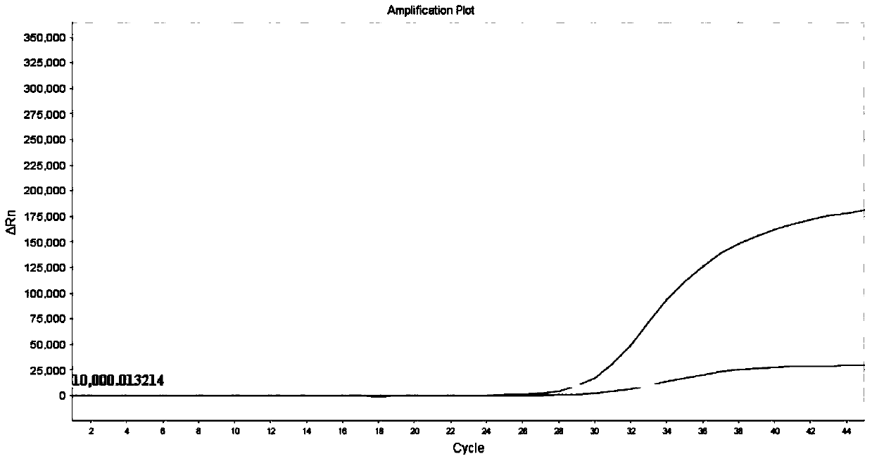 Human egfr gene mutation detection kit and application thereof