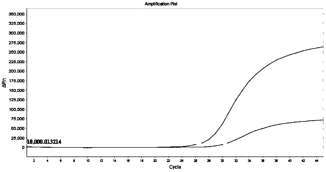 Human egfr gene mutation detection kit and application thereof