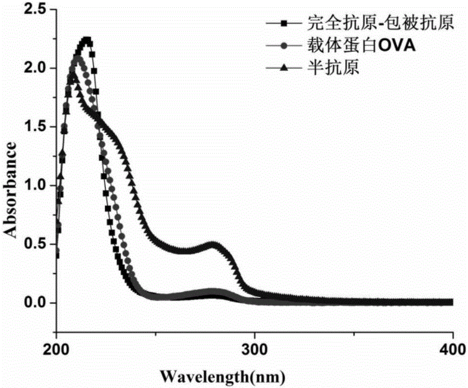 Anti-capsaicin substance general specific antibody, test paper strip and kitchen waste oil immunochromatographic rapid discriminating method