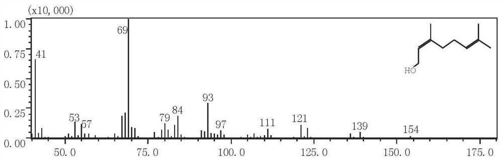 A kind of engineering bacteria for co-producing geraniol and nerol and its construction method and application