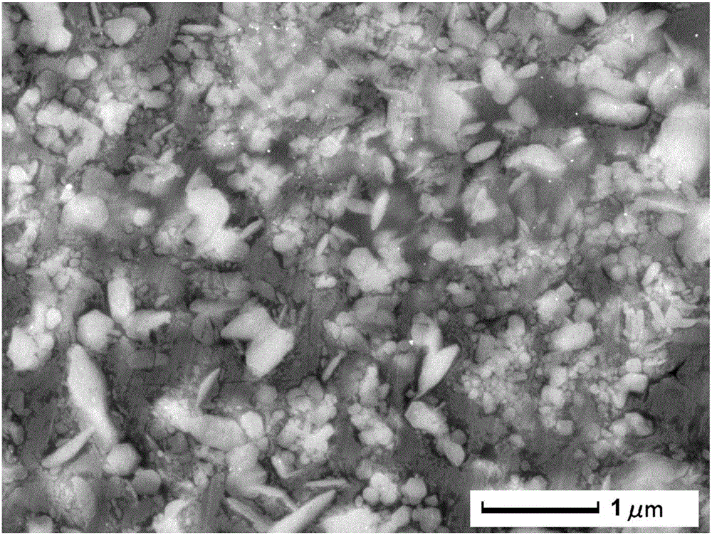 Preparation method and device of in situ aluminum matrix composite