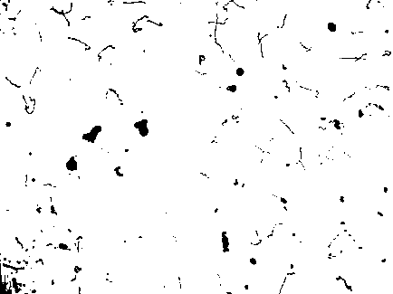 A rapid staining reagent for Leptospira and its preparation method and application