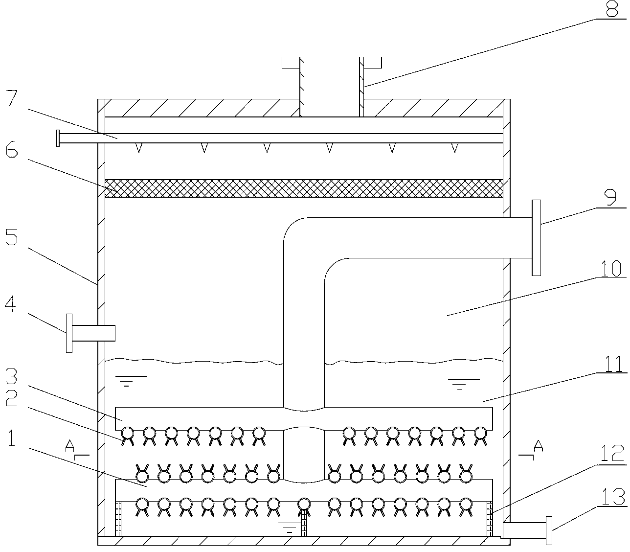 Bubbler with novel structure