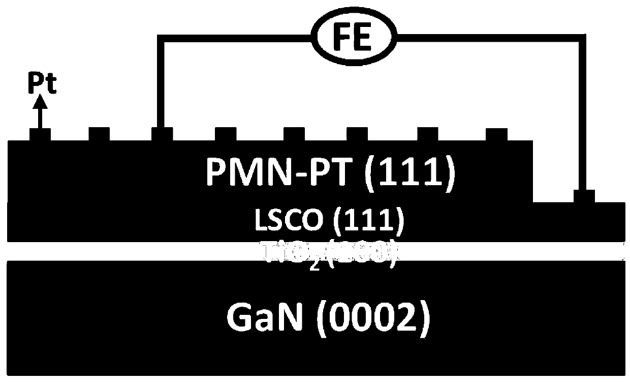 Titanium niobate lead magnesium oxide ferroelectric thin film GaN-based epitaxial integration and its preparation method