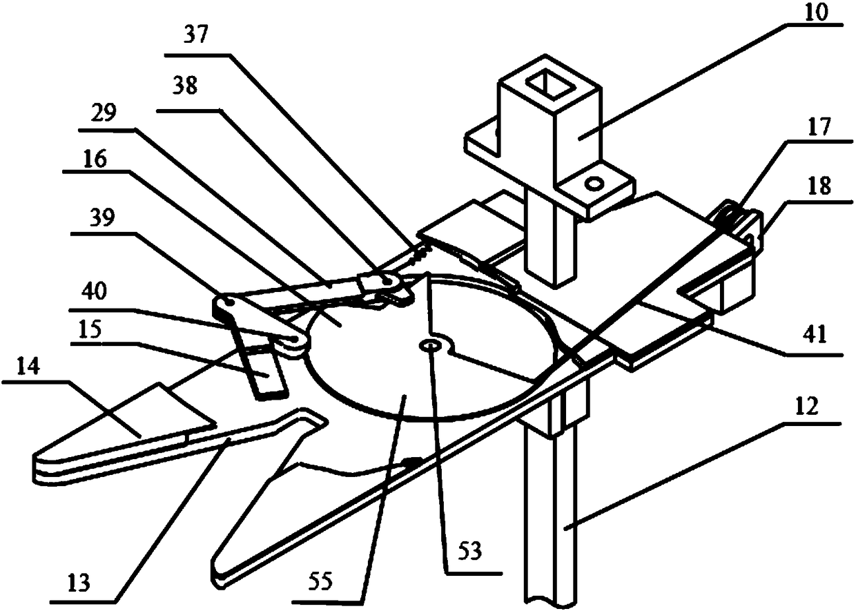 Fruit stem locking double-plate separation type forest fruit harvesting device