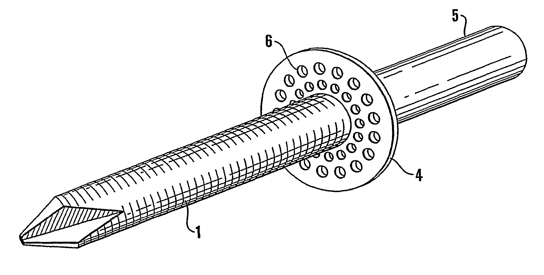 Transcutaneous prosthesis