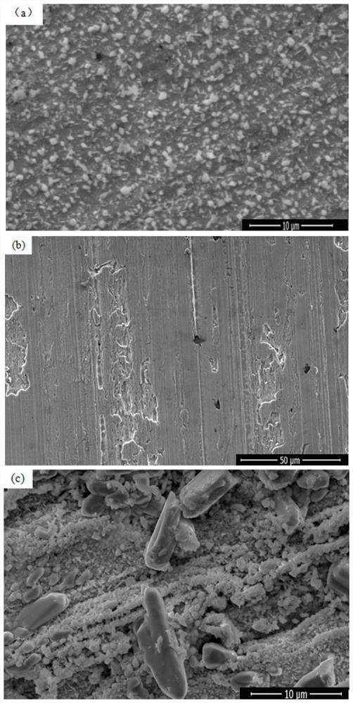 A kind of preparation method of lead alloy surface anti-corrosion composite coating