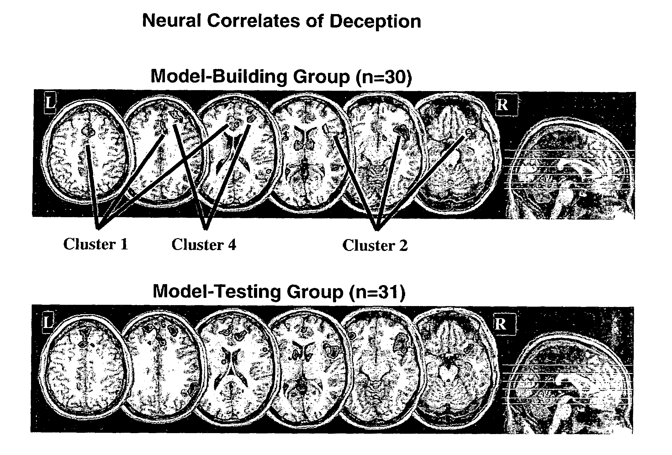 Questions and control paradigms for detecting deception by measuring brain activity