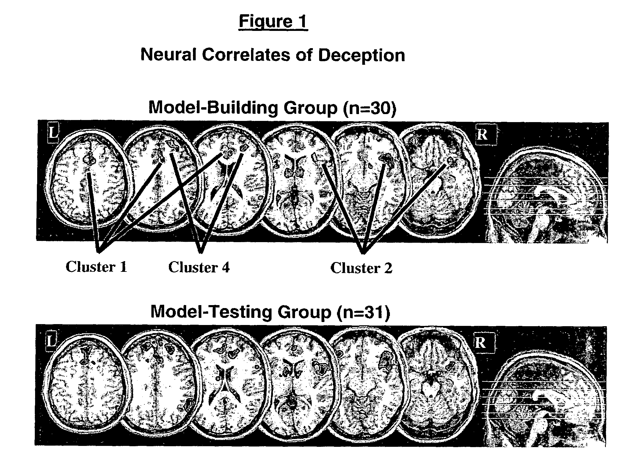 Questions and control paradigms for detecting deception by measuring brain activity