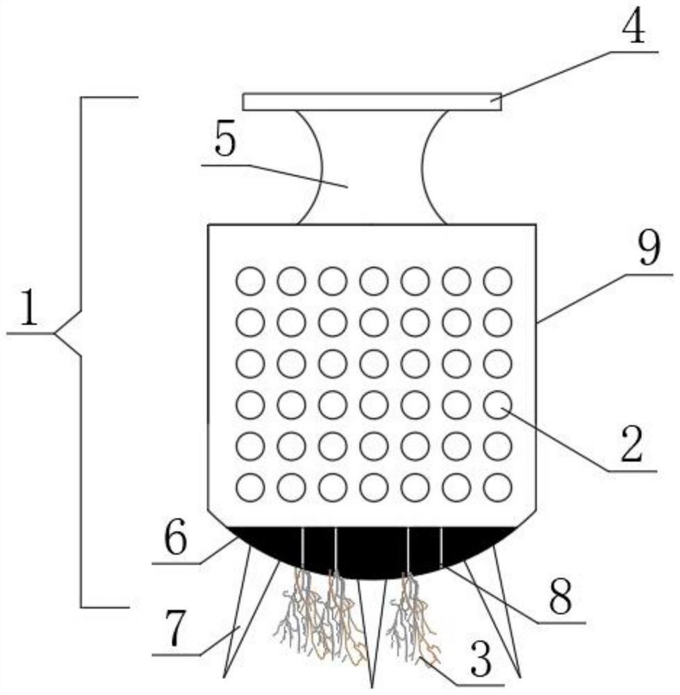 Method for rapid colonization of rigid underwater aquatic plants