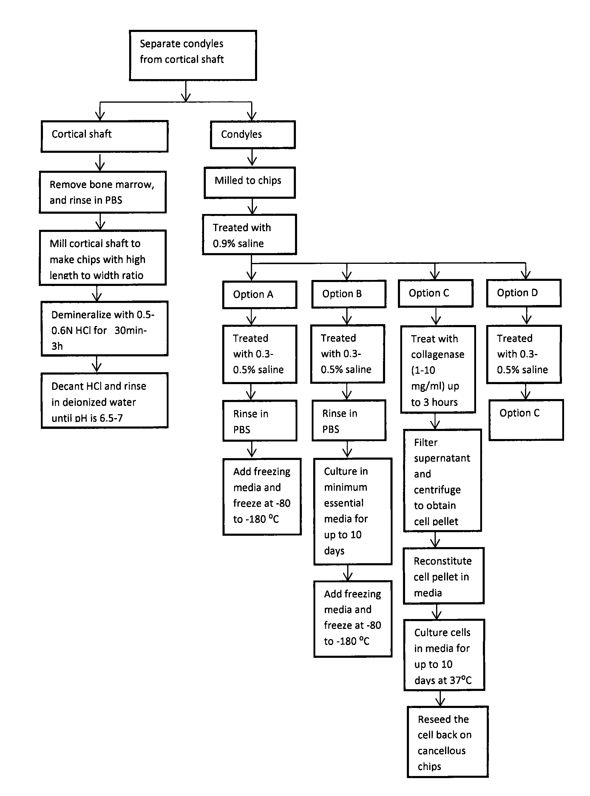 Bone grafts and methods of making and using bone grafts