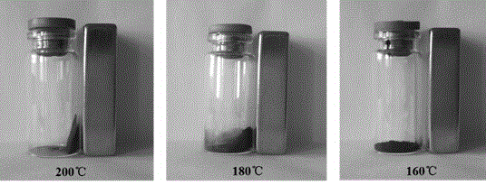 Method for preparing polyaniline-ferroferric oxide (PANI-Fe3O4) nanocomposite by solvothermal method