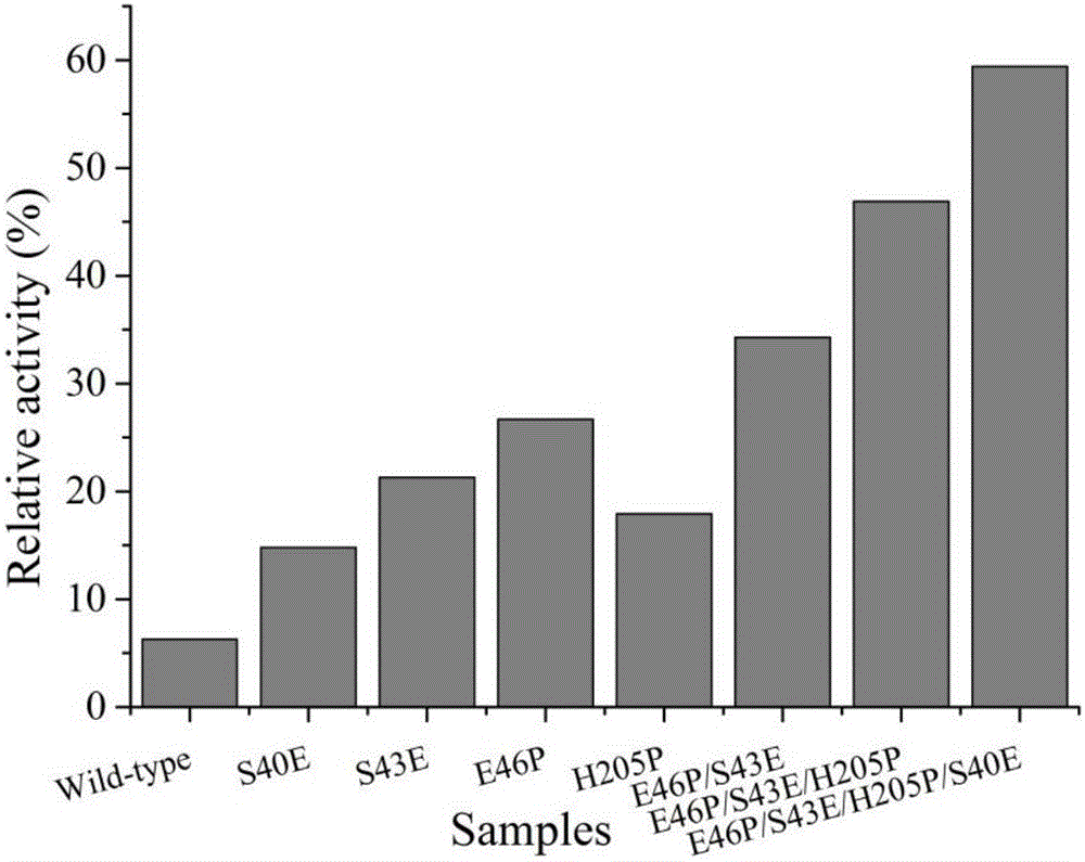 1,3-1,4-beta-glucanase mutant