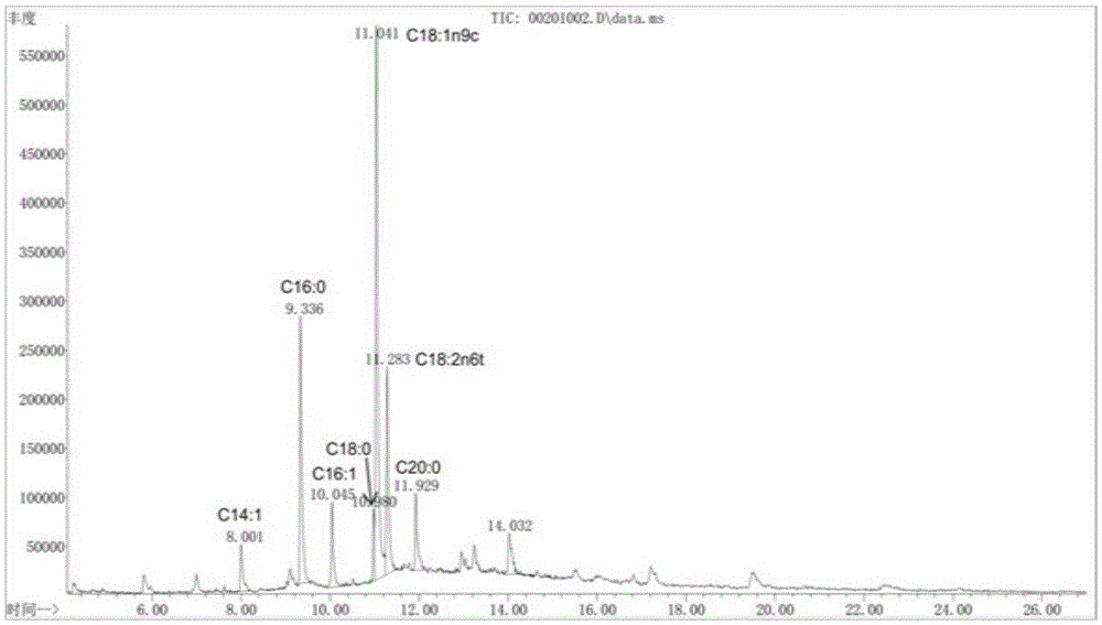 Graesiella sp. WBG-1 as well as isolation and screening method and application thereof