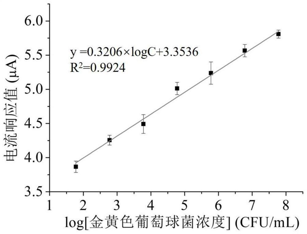 Electrochemical detection method of pathogenic bacteria based on DNA walker and nanoflower structure