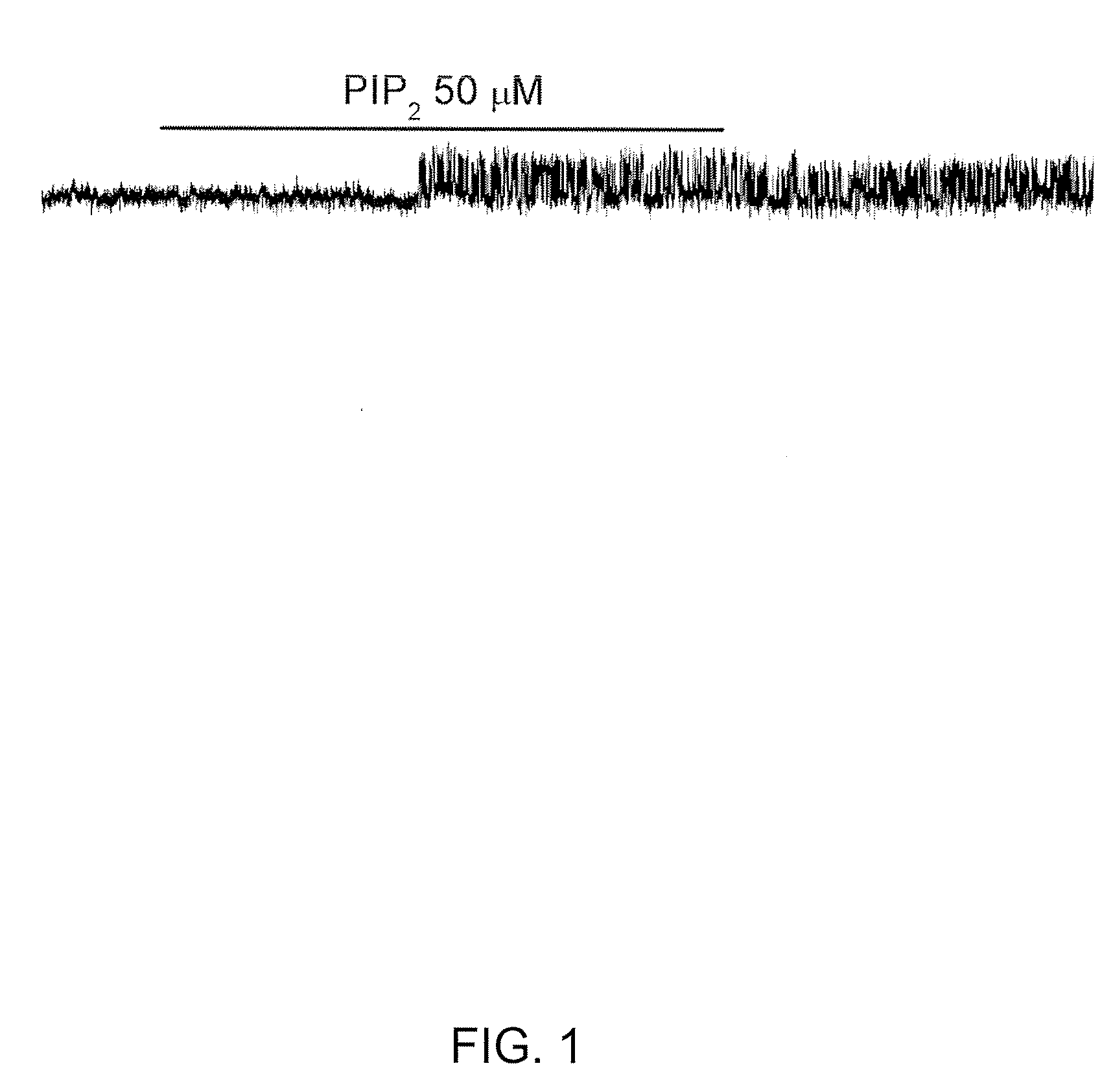 Therapeutic Agents Targeting the NCCA-ATP Channel and Methods of Use Thereof