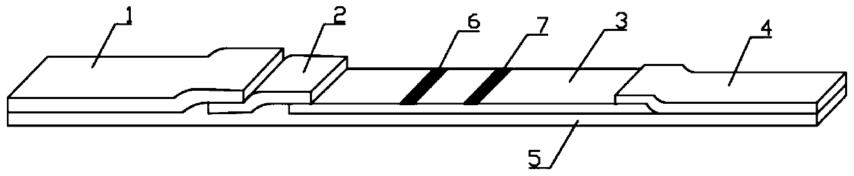 Novel detection reagent card for coronavirus antibody detection and preparation method of detection reagent card