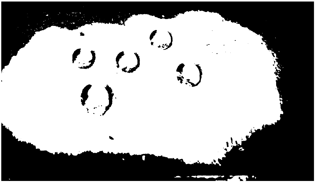 Fluorosilicone resin/composite modified nano-material hybrid super-amphiphobic coating and preparation technology thereof