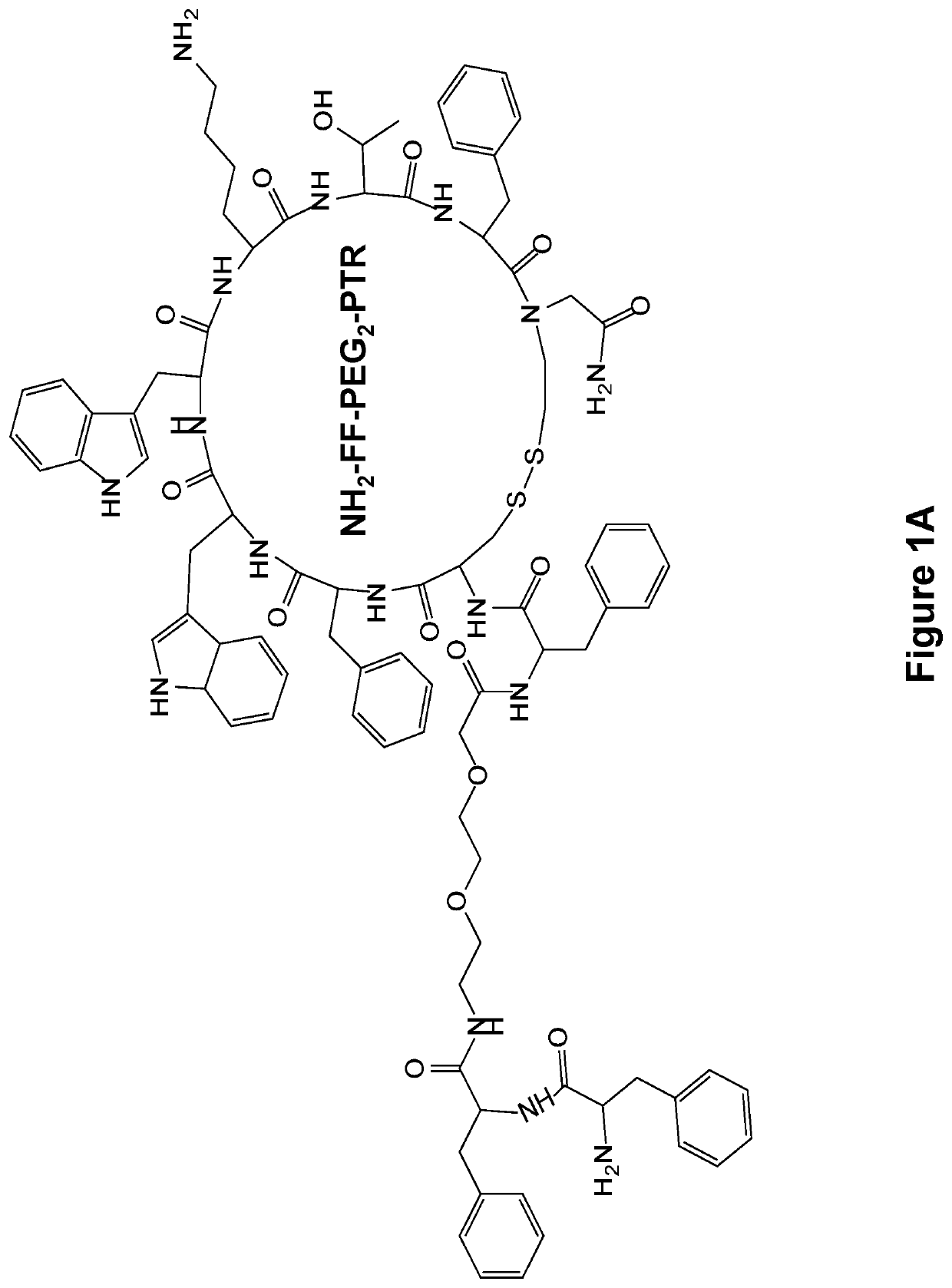 Formation of functionalized nanoparticles by supramolecular co-assembly