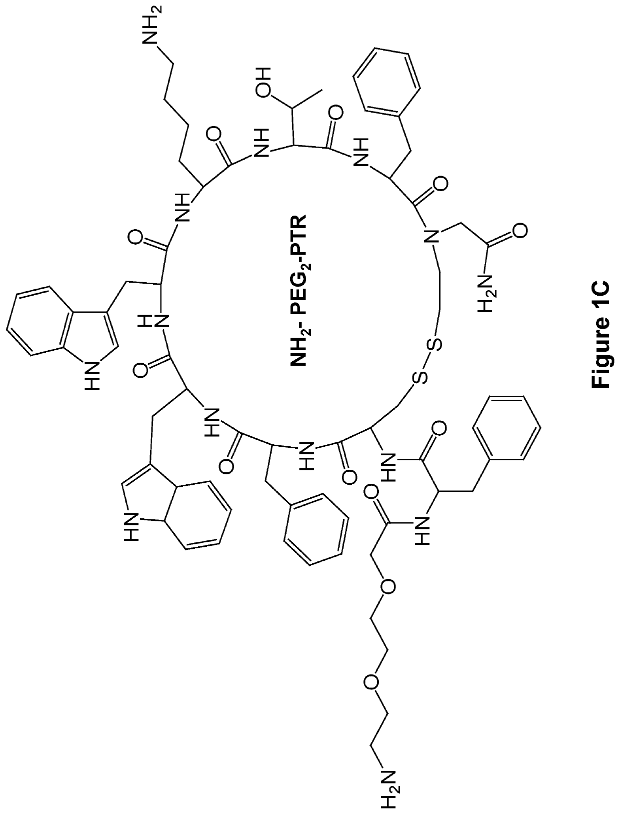 Formation of functionalized nanoparticles by supramolecular co-assembly