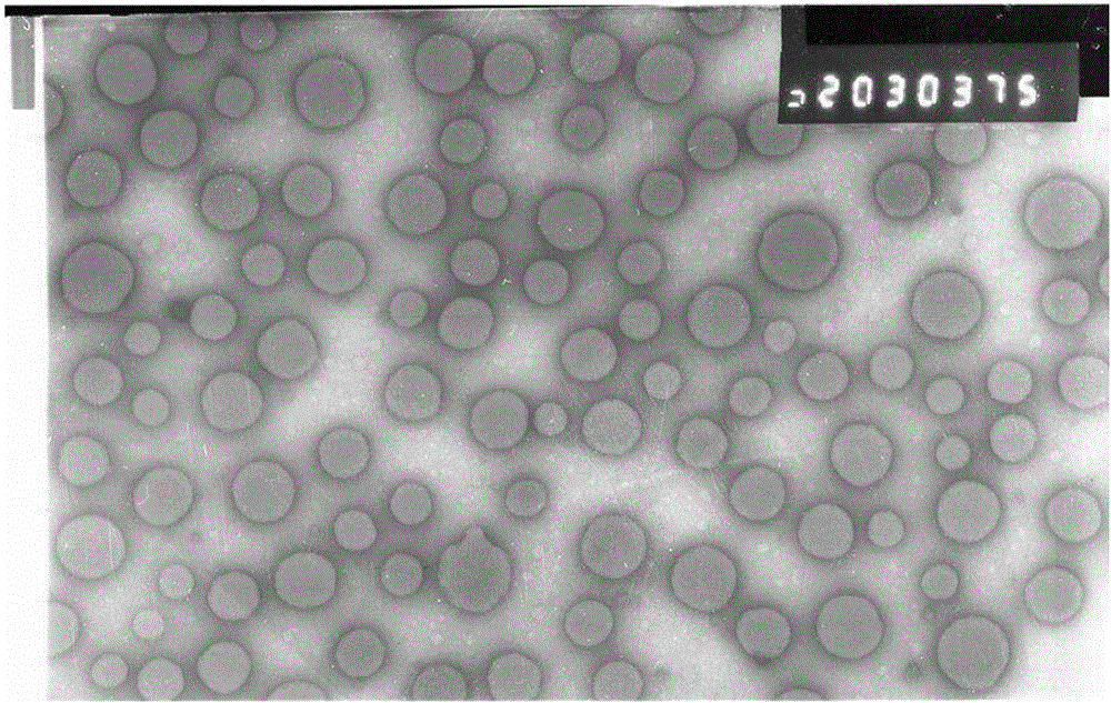 Enrofloxacin nanosuspension and preparation method thereof