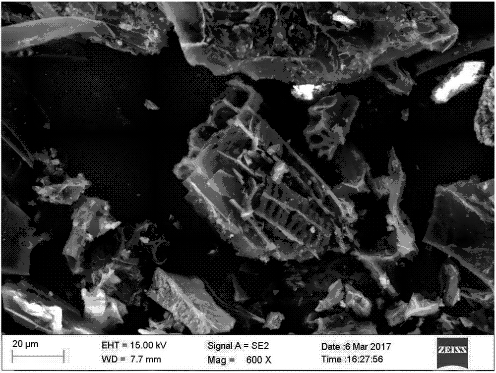 Heavy metal contaminated soil repair conditioner and application thereof