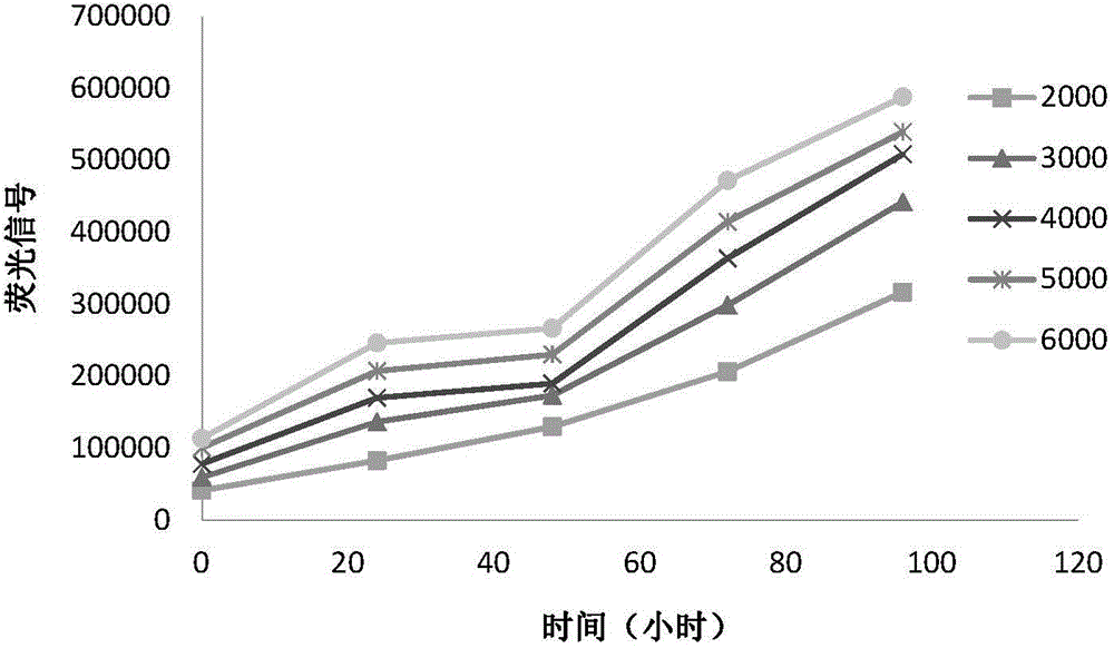 Human bile duct cancer cell line and applications thereof