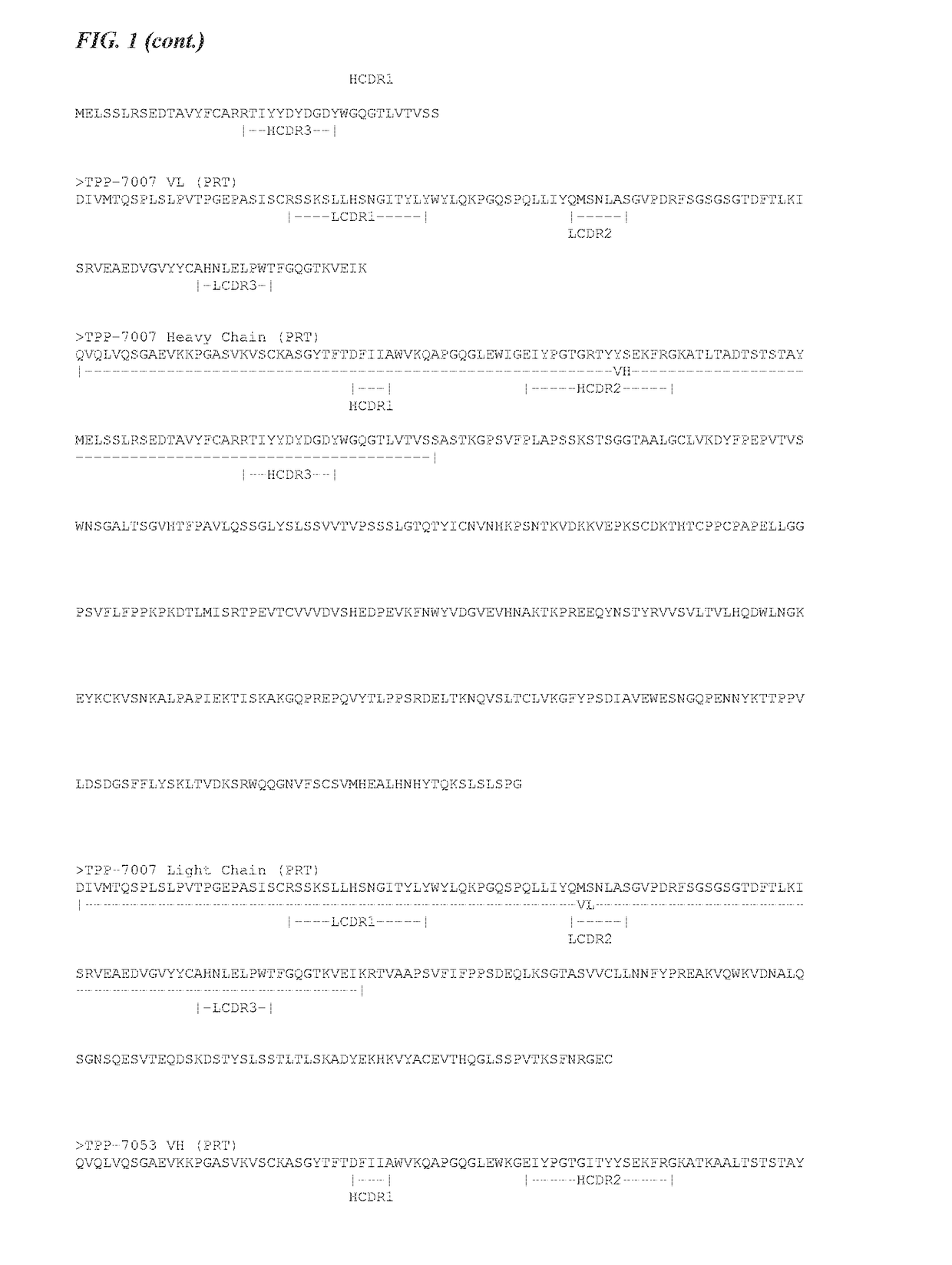 Antibody drug conjugates of kinesin spindel protein (KSP) inhibitors with Anti-tweakr-antibodies