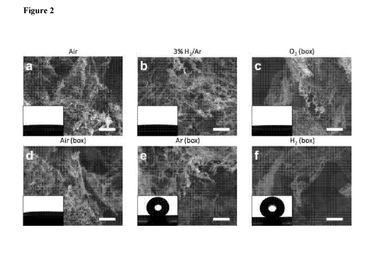 Antibiofilm and antimicrobial functional membrane spacer