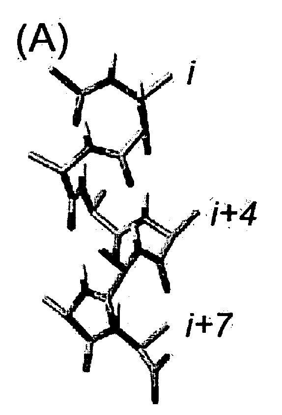 Composition and Method for the Treatment of Diseases Affected by a Peptide Receptor