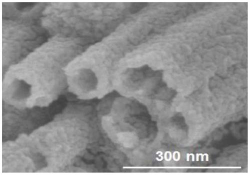 Preparation method of amorphous MoS2-modified CoS/Co0.85Se heterogeneous nanotube array electrocatalyst